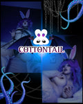 Cottontail